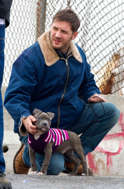 Tom Hardy and His Puppy in a Sweater