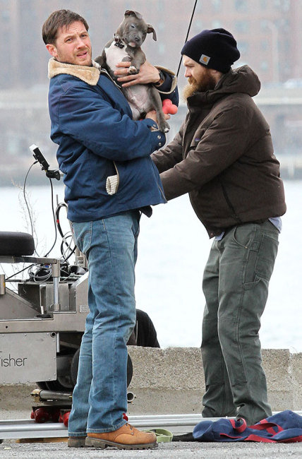 Tom Hardy, His Puppy, and a Bearded Fellow