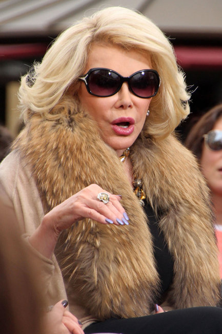 Joan Rivers twitter rant