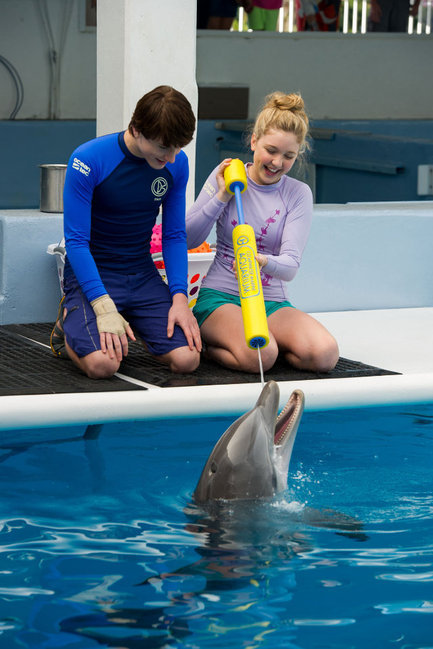 Dolphin Tale 2