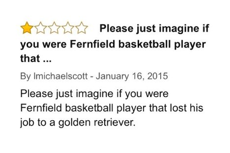 Amazon, Air Bud