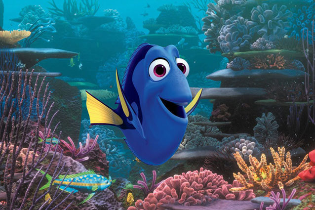 Finding Dory