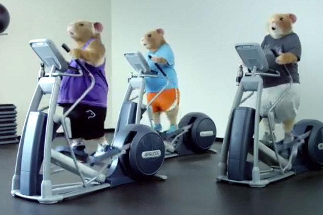 2014 Kia Soul Hamster Commercial