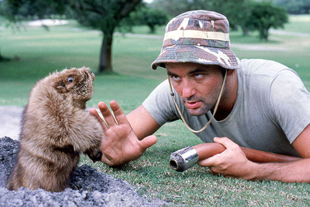 Caddyshack