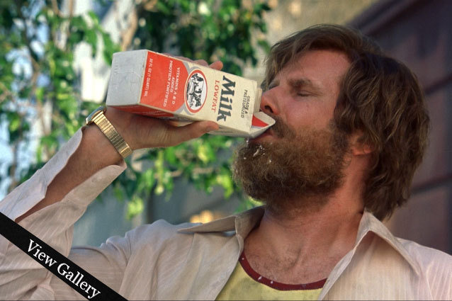 Will Ferrell, Anchorman