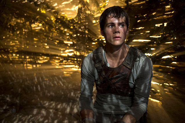 The Maze Runner