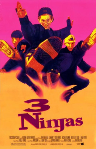 3ninjasposter.jpg