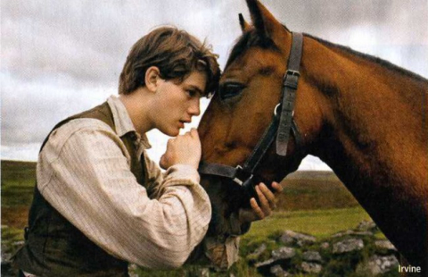 War Horse New Images