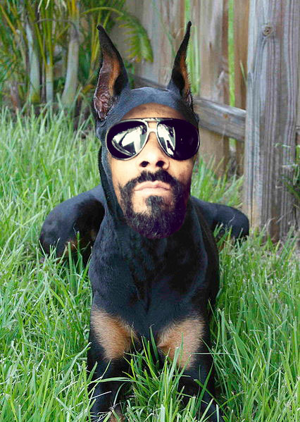 Snoop Dogg