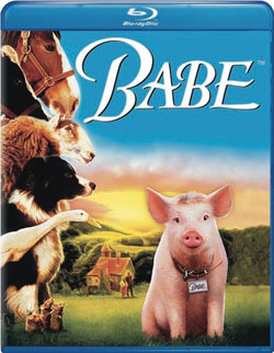 Babe Blu-ray