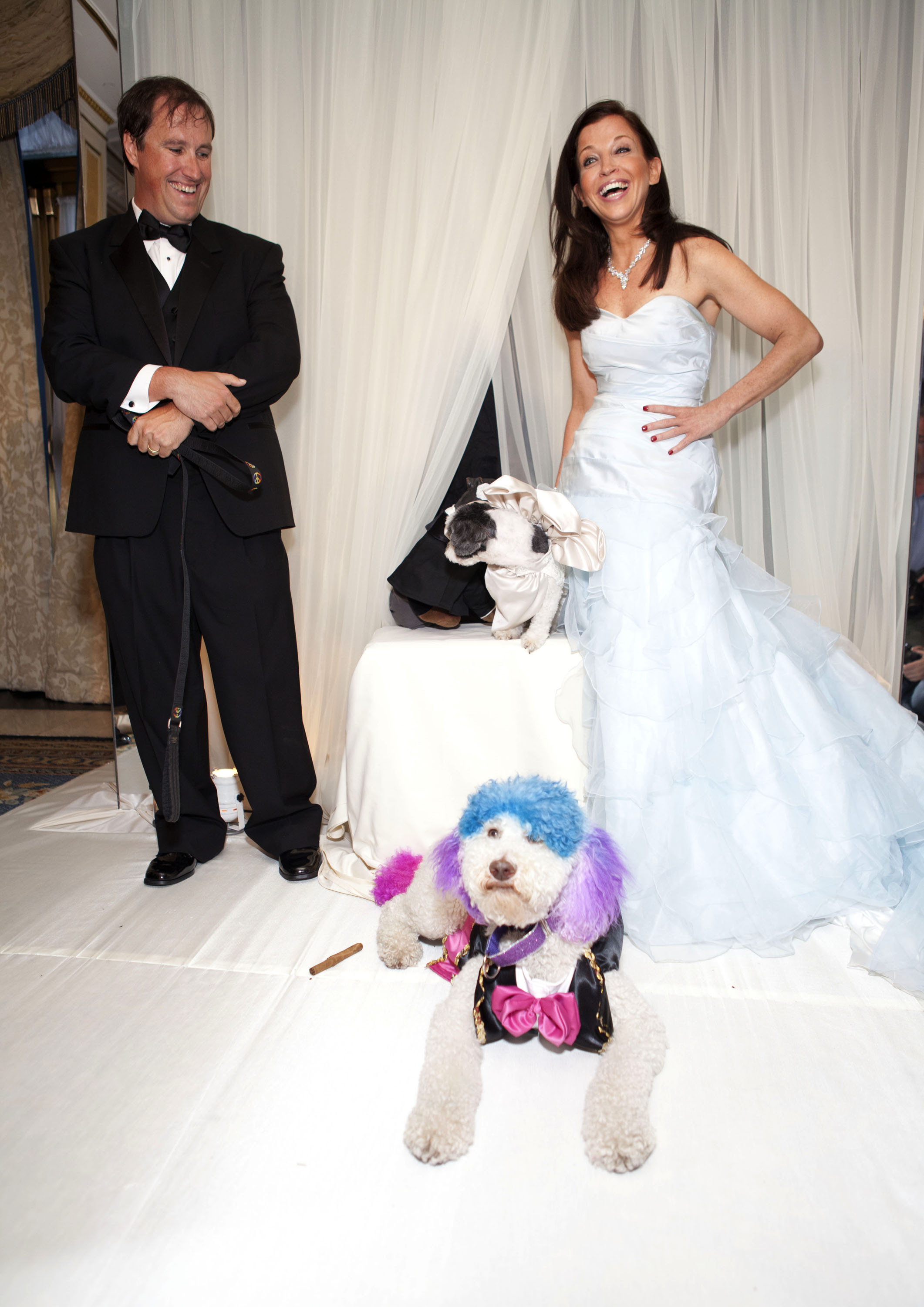 Expensive Dog Wedding Rivals Mark Zuckerberg S