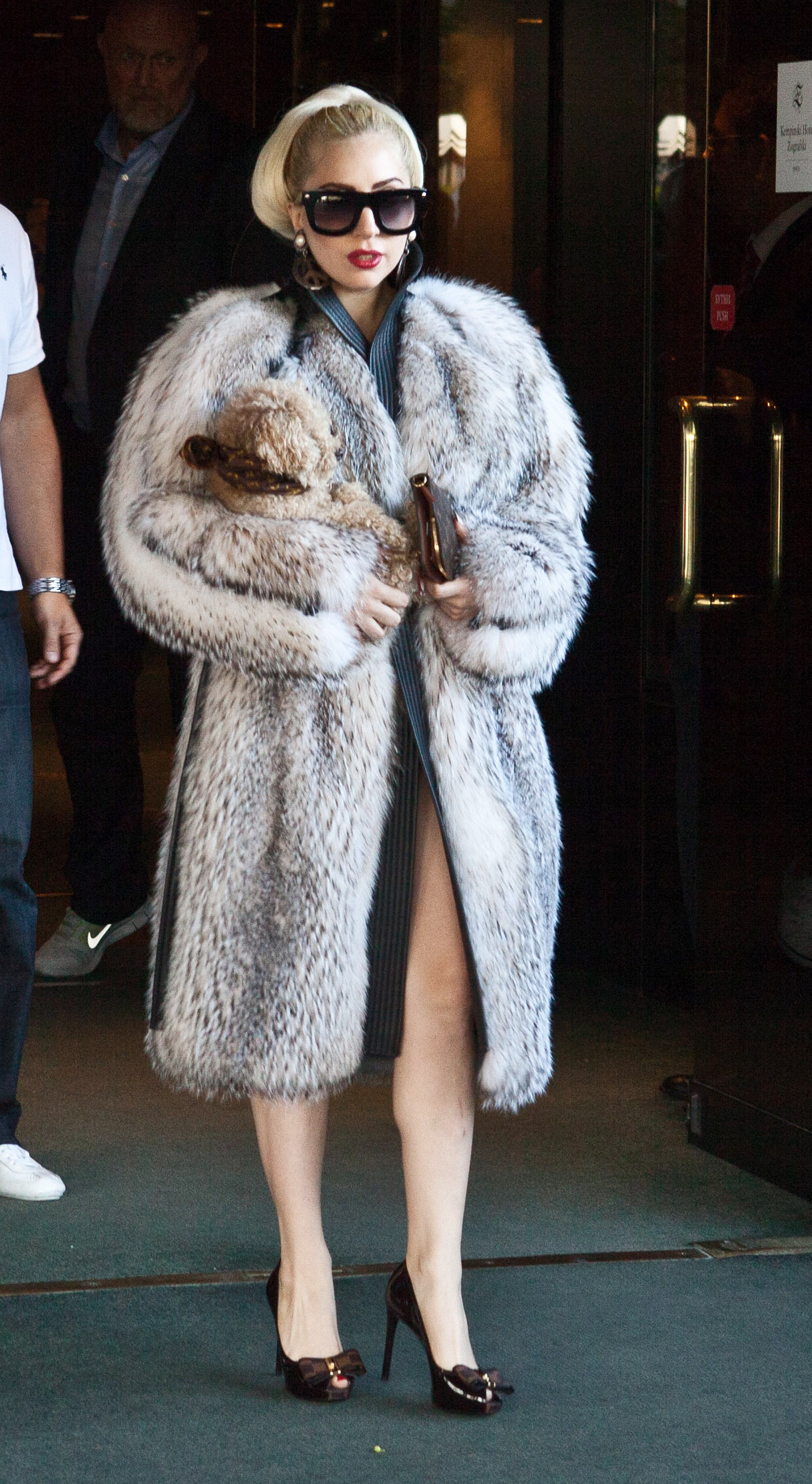 Lady Gaga Fur