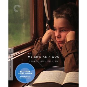 My Life as a Dog Bluray