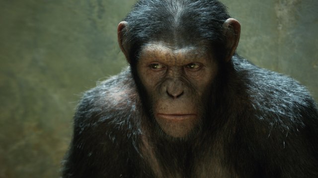 Rise of the Apes Andy Serkis