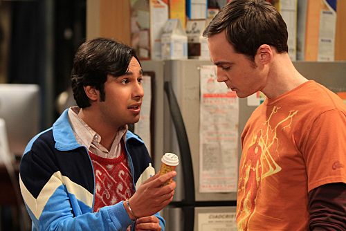 The Big Bang Theory, The Wildebeest Implementation