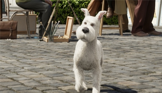 tintin11.jpg