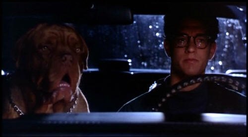 Turner & Hooch