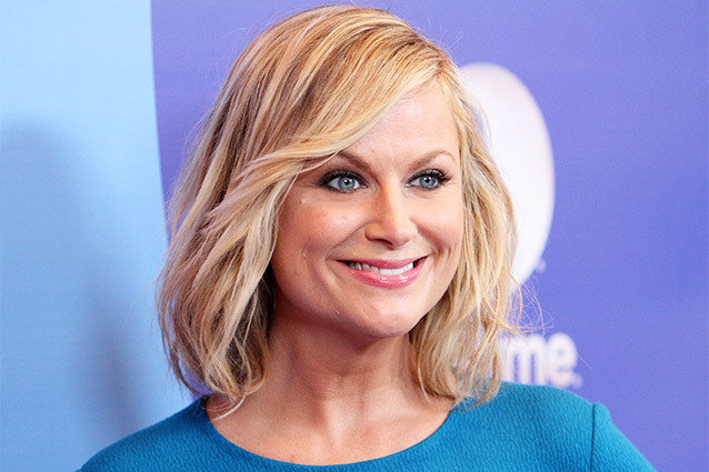 Amy Poehler and Greg Poehler Will Bring 'Sweden' to NBC (2013/10/08 ...