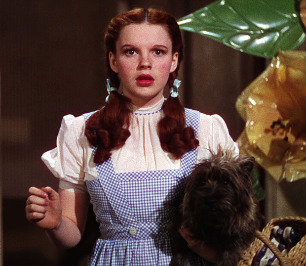 Dorothy's Dress from 'The Wizard of Oz' Sells for Half a Million ...
